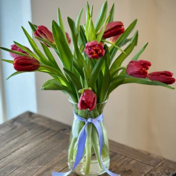 Tulip Special