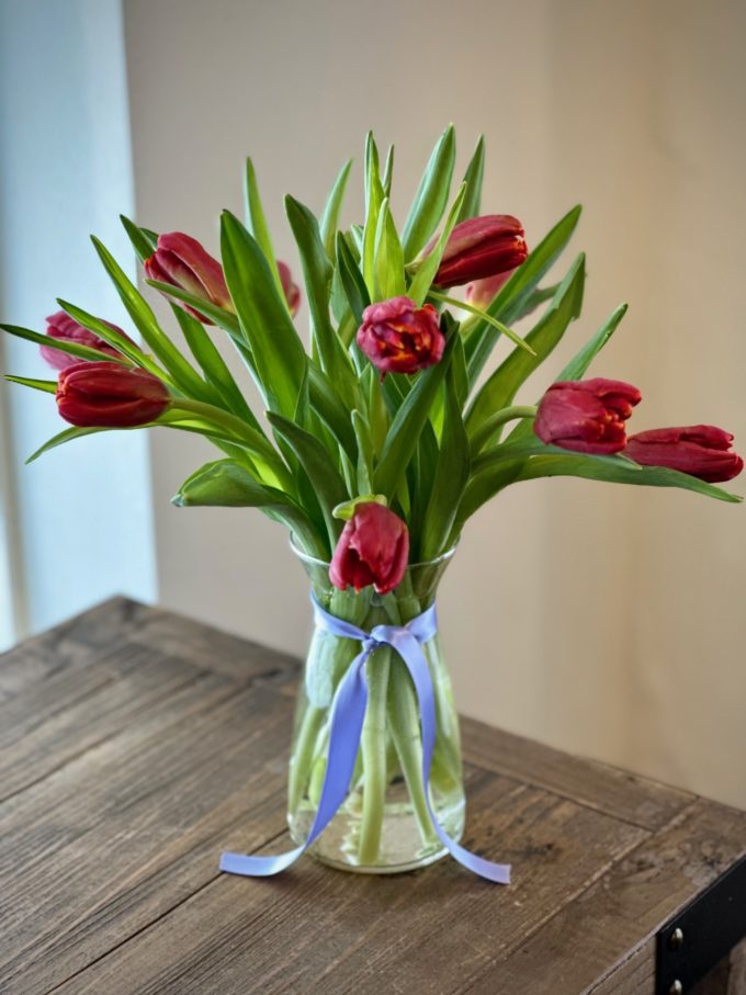 Tulip Special