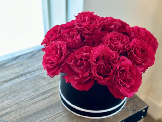 Valentine's Roses - Image 12