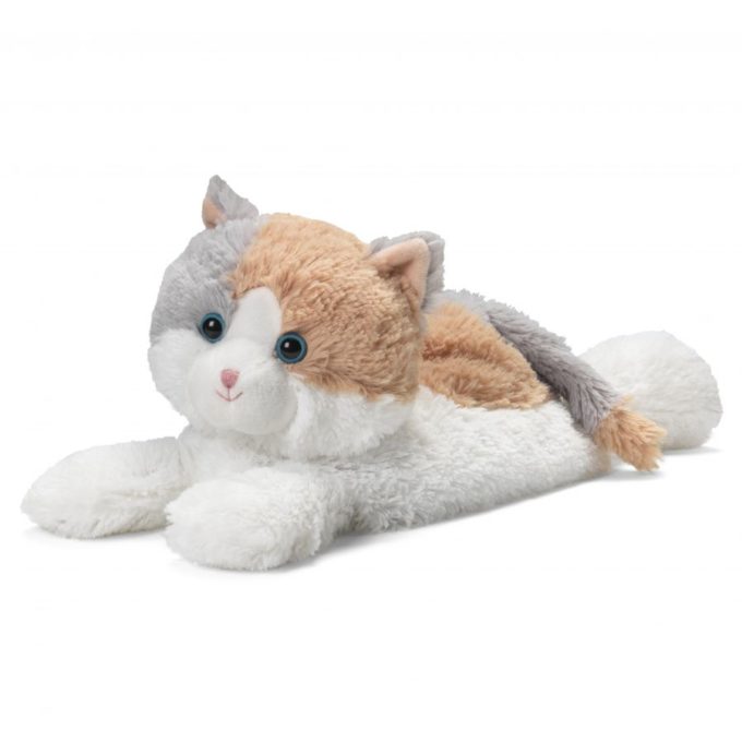 Calico Cat