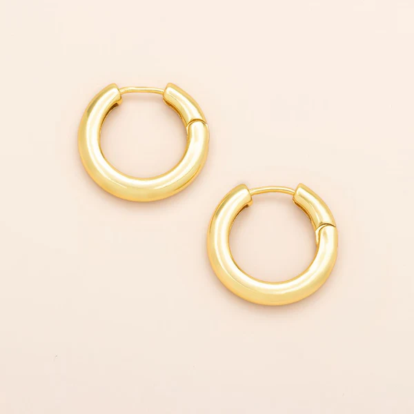 Refined Earrings - Image 12